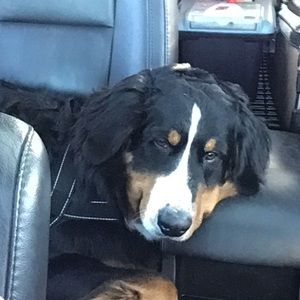 Meet your Posher, Kara